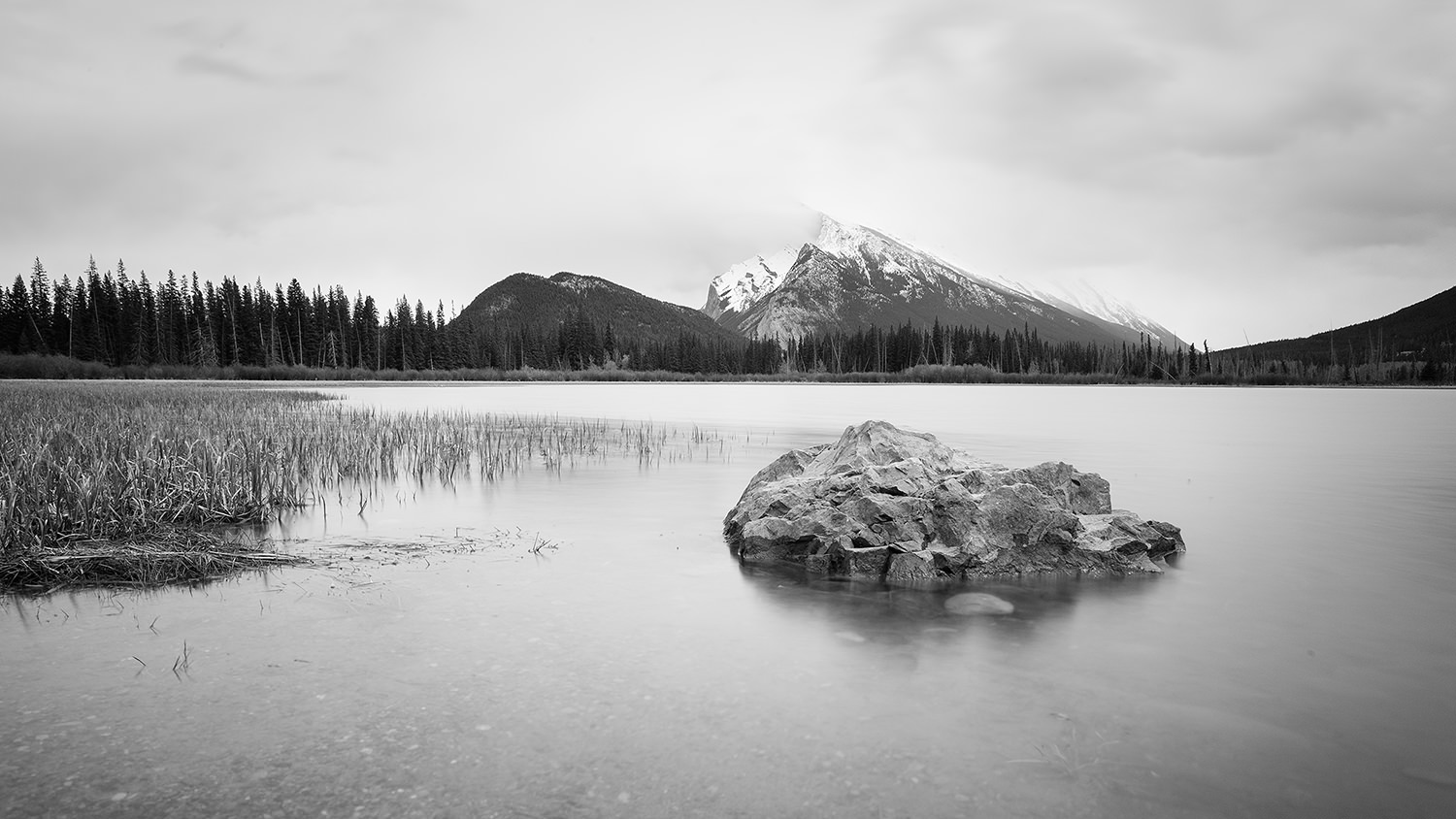 Mimic - Banff National Park, Alberta
