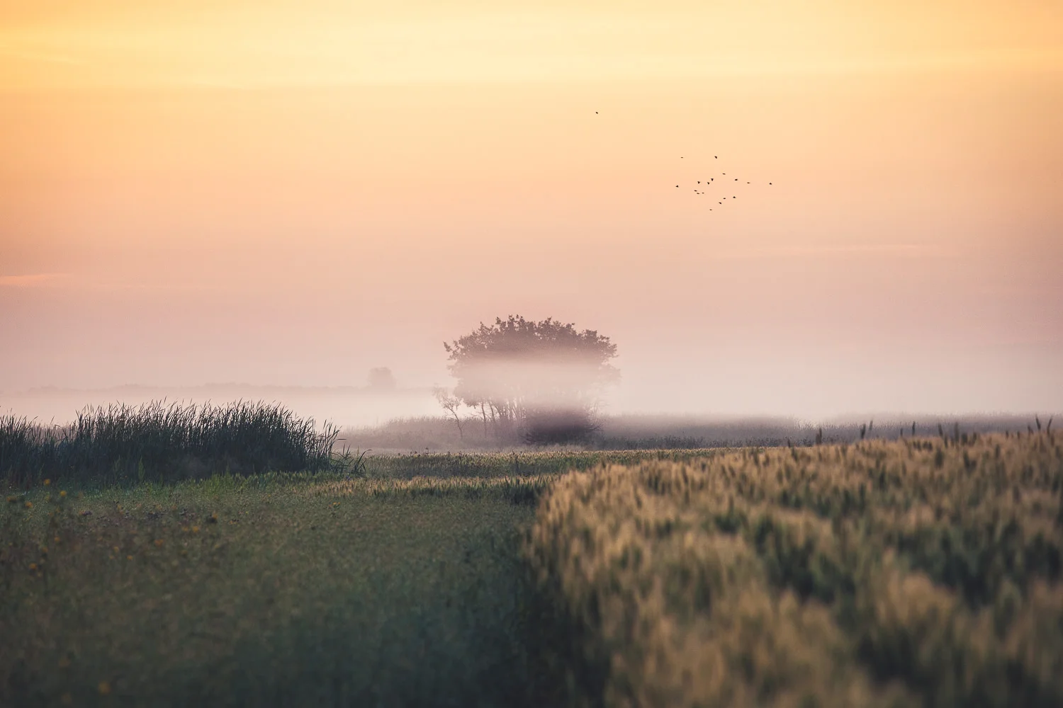 Southeast Saskatchewan