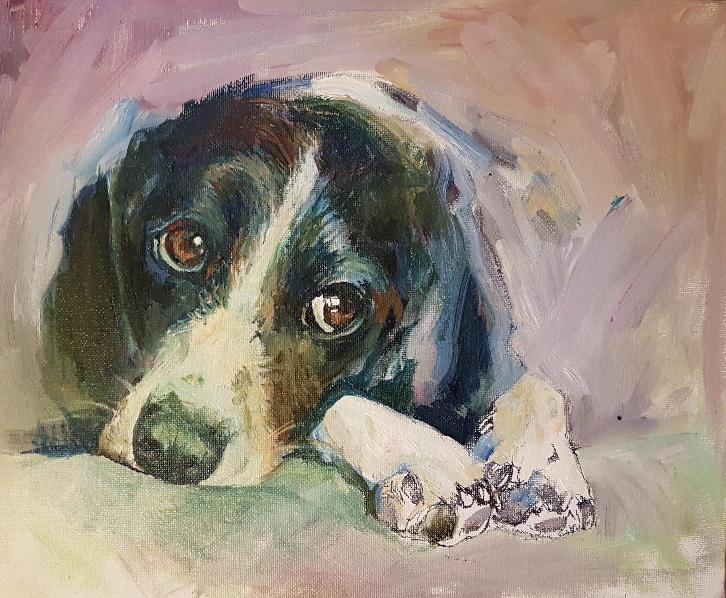 Work In Progress Coonhound Mix Coda Sue Gardner Studio