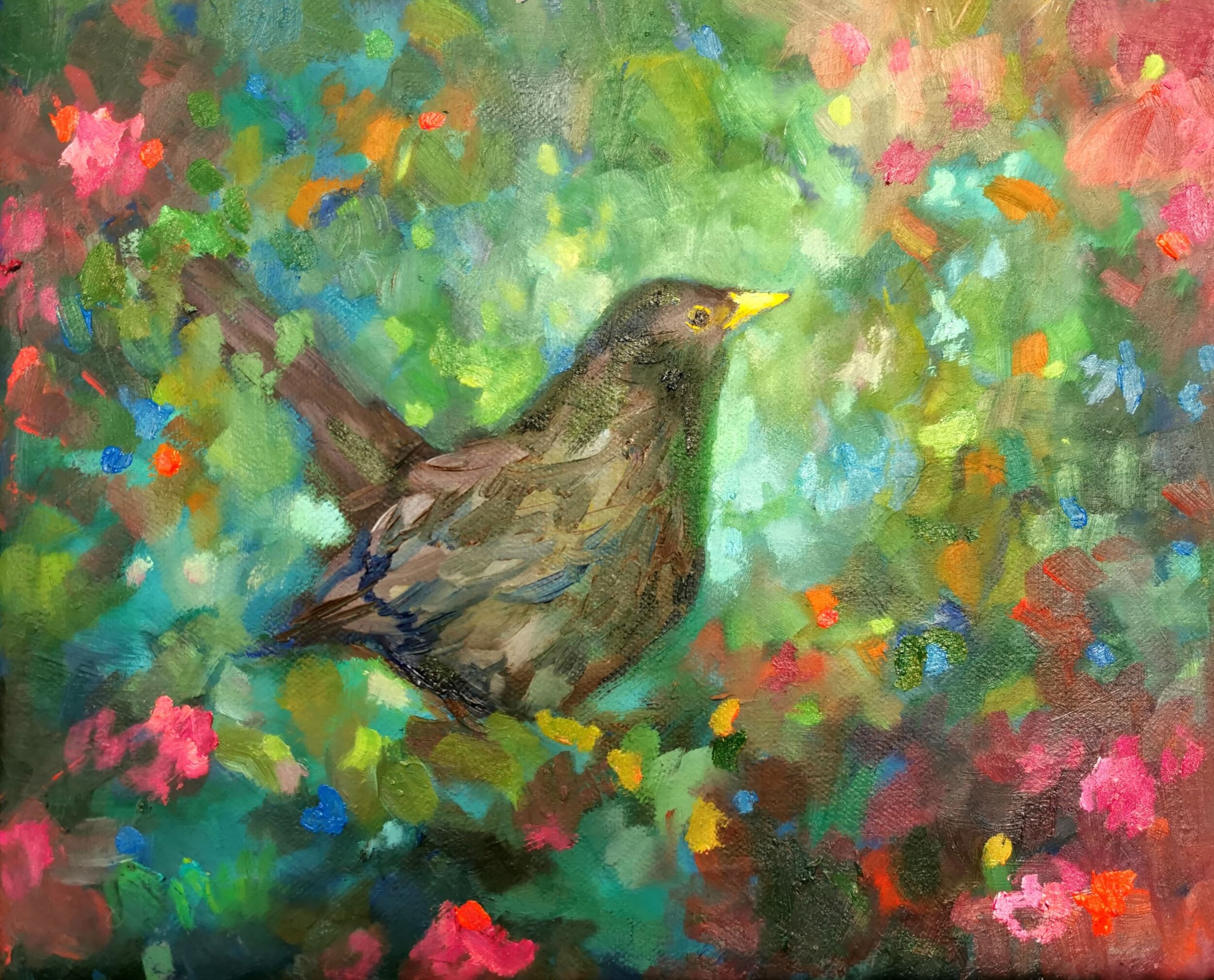 bird oil paintings colourful by sue gardner (3).jpg