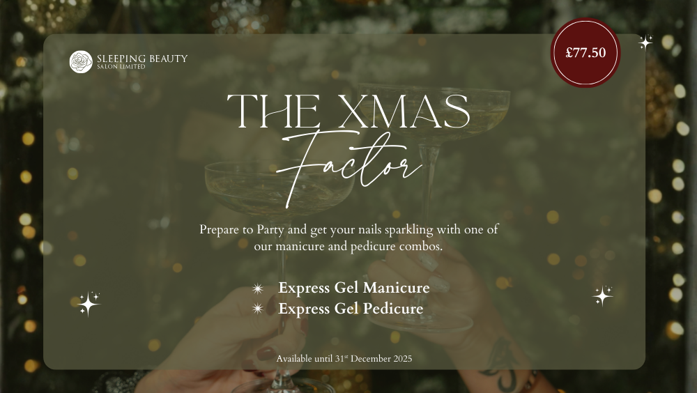 The Xmas Factor Web Banner.png