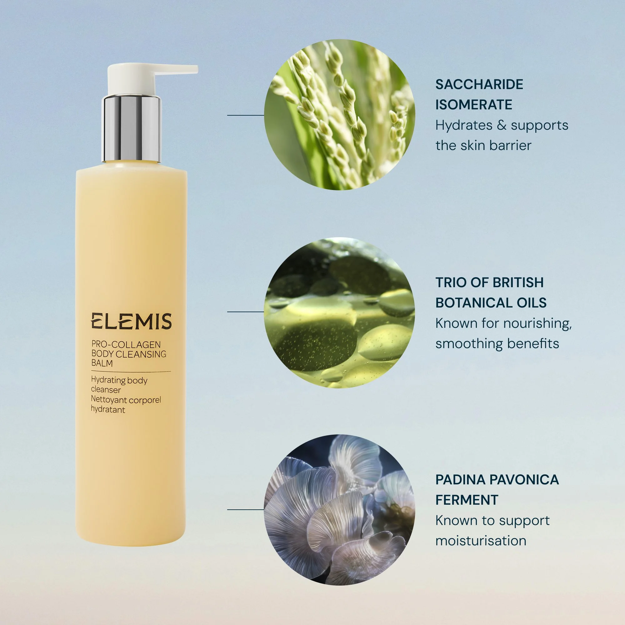 PRO-COLLAGEN BODY CLEANSING BALM_INGREDIENTS_2000x2000.jpg
