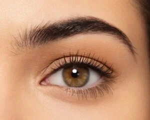 Brow and lash treatments at Sleeping Beauty Fort William