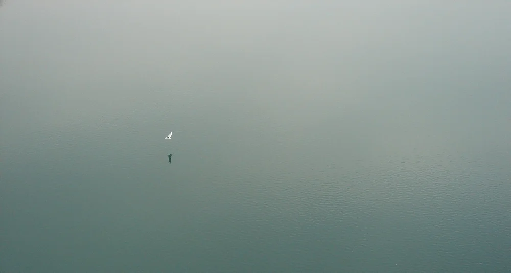 Explaining complex things