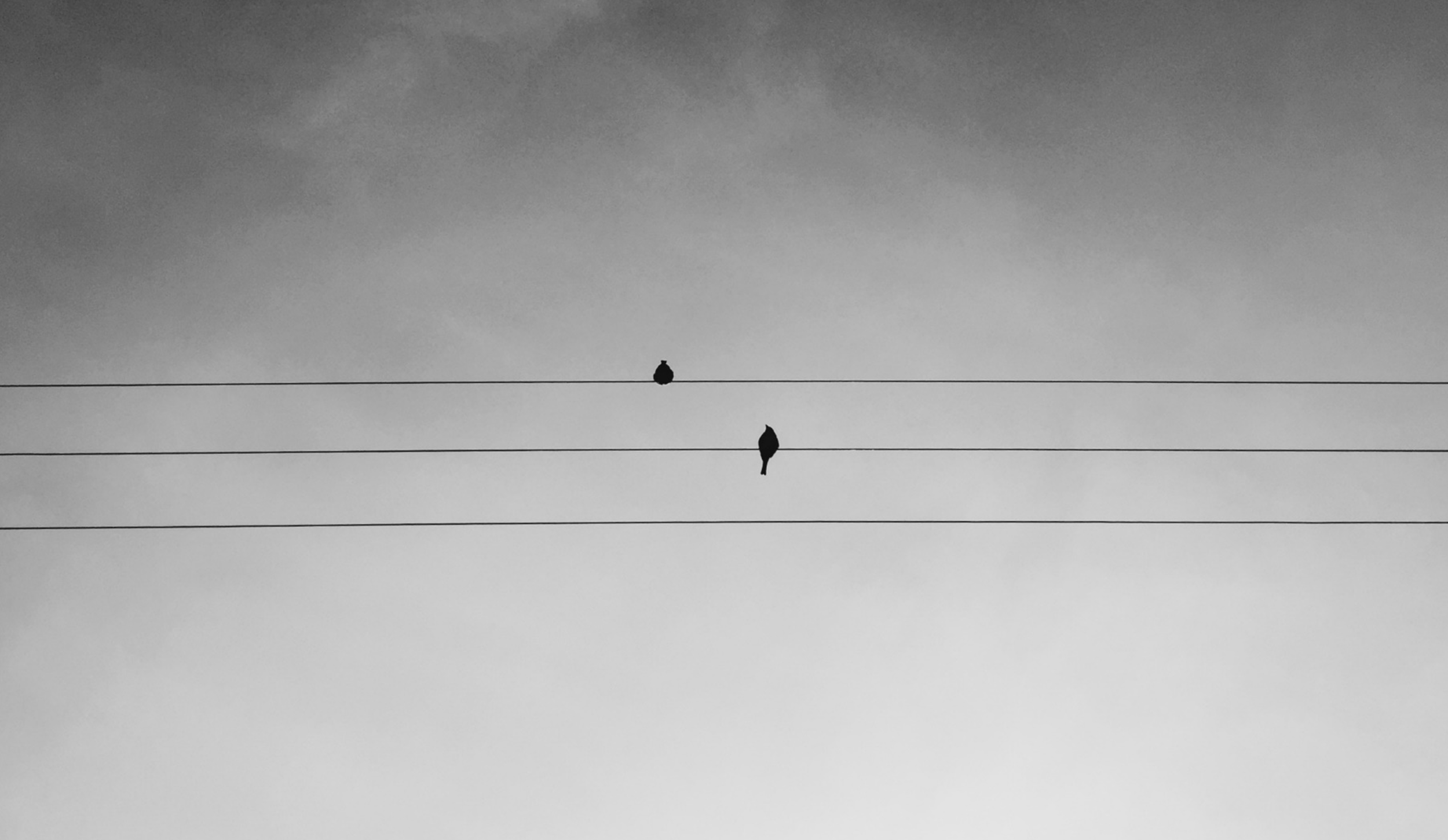 Do you do websites as well?