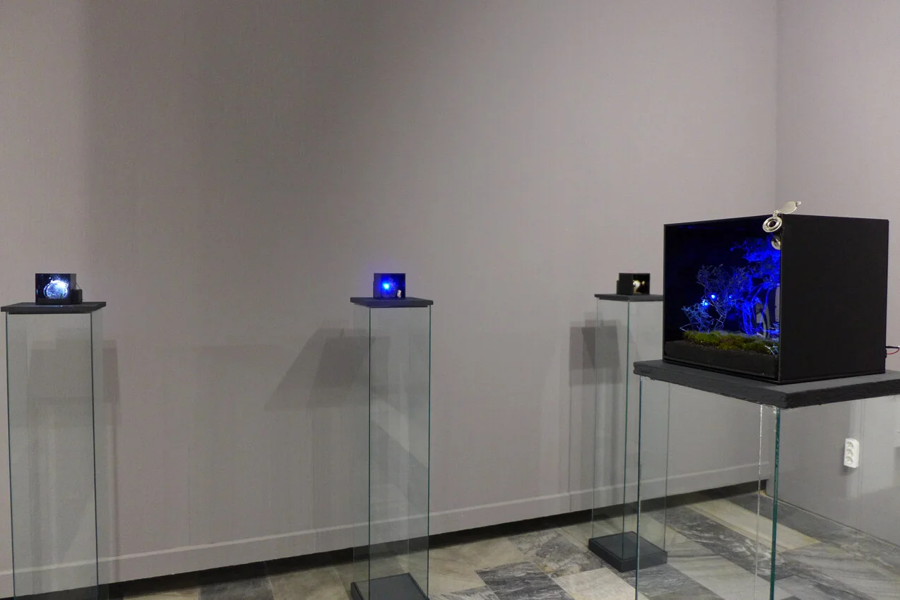 P1130625.JPG