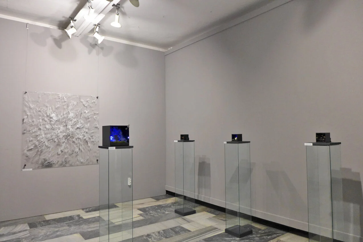 P1130686.JPG