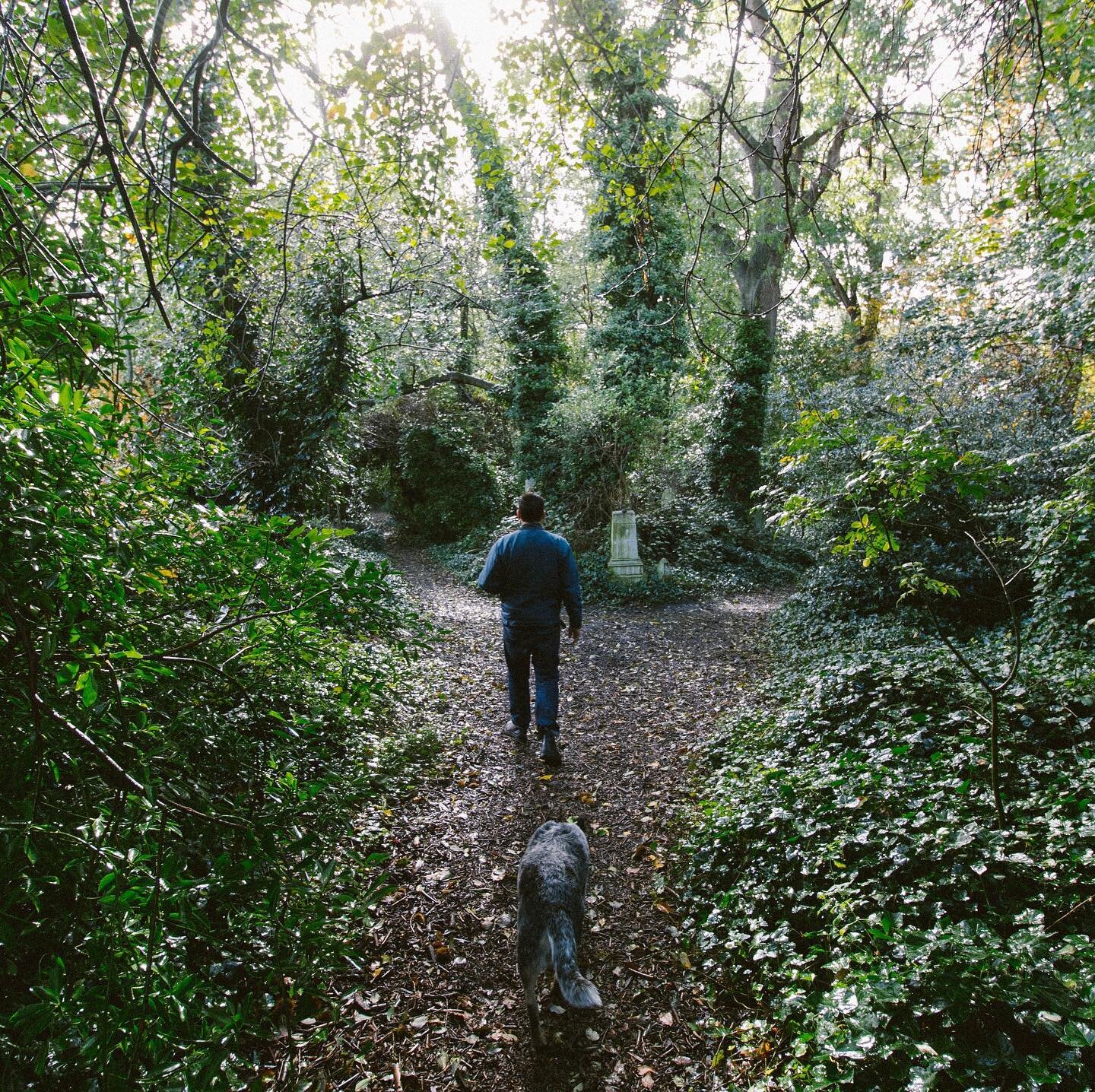 Abney Park Cemetery with @loseyluke and Martha #cemetry #abneyparkcemetery #london #canoneosr