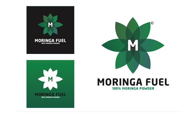 Moringa6.jpg