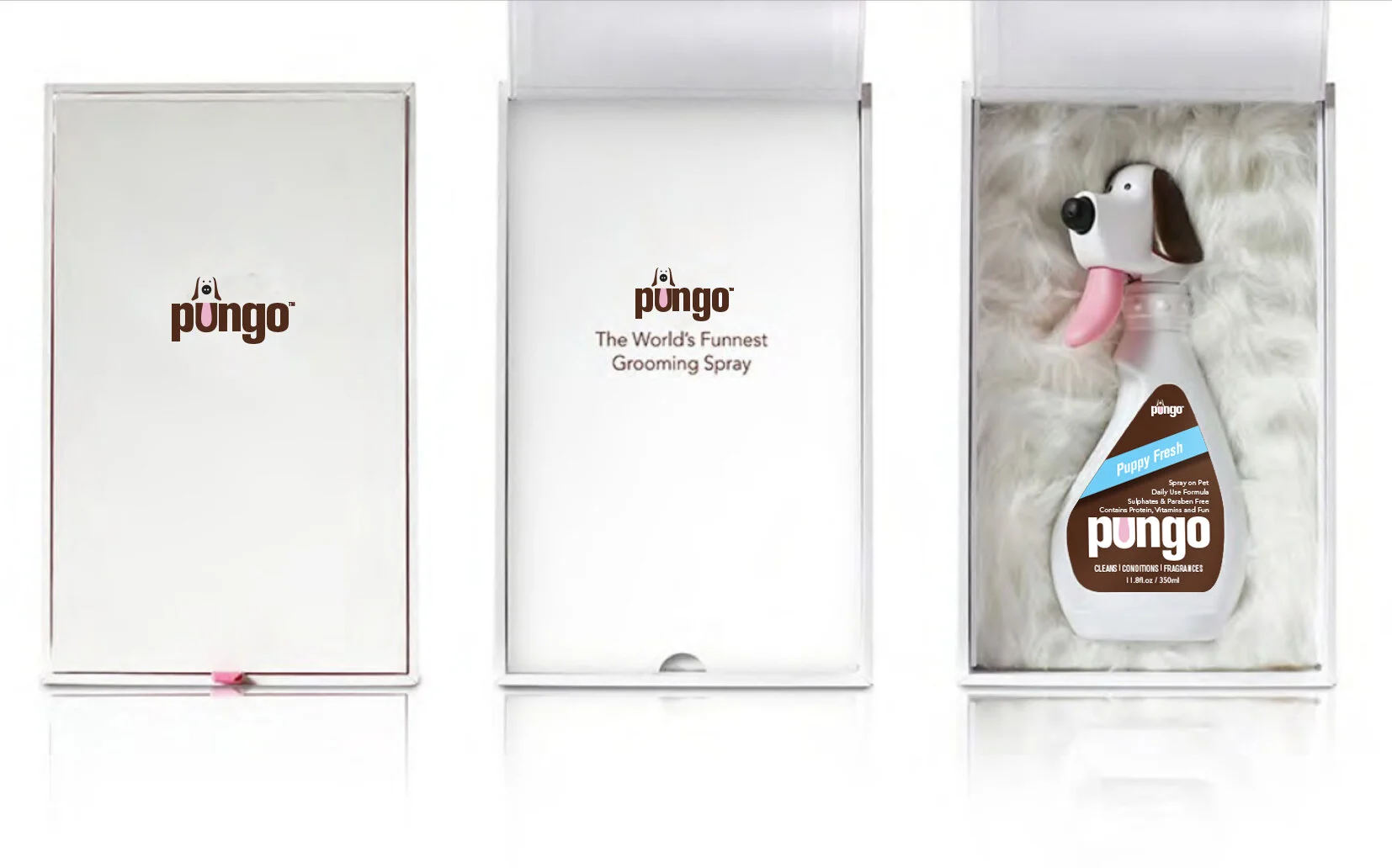 Pesentation Box interior.jpg