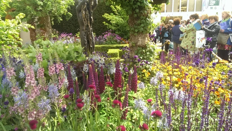 chris beardshaw's garden for morgan stanley gold chelsea 2015