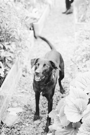 Mabel captured by Taylor & Porter Fine Art Film Photography