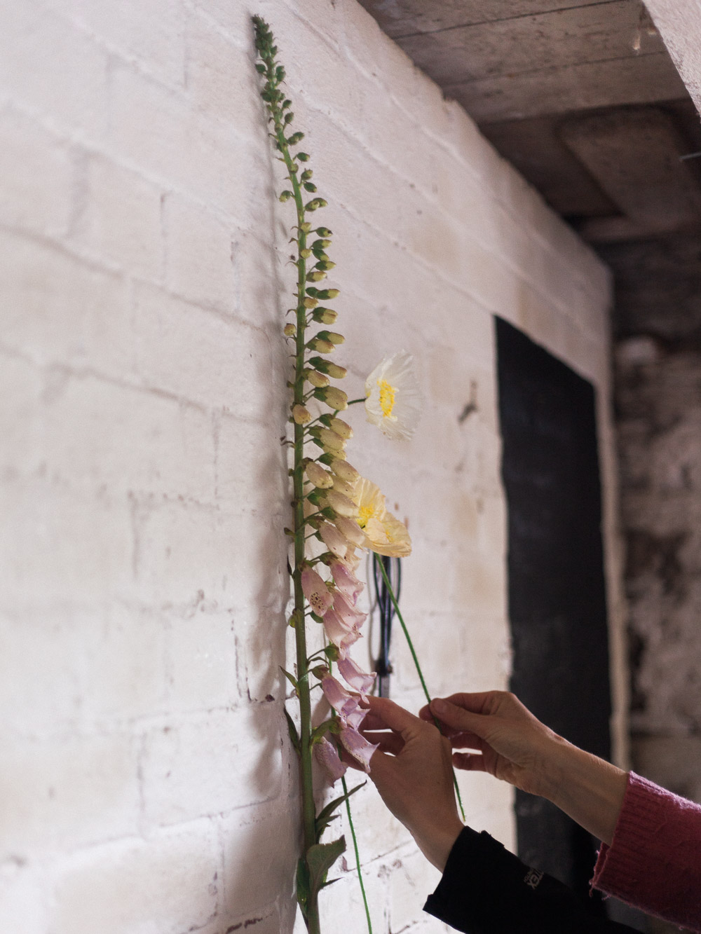 Fine Art Film Image by Imogen Xiana