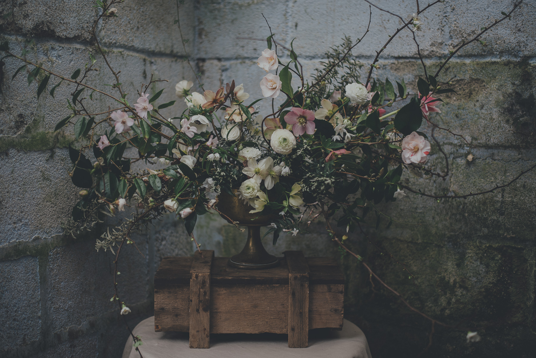 Image by Ross Talling