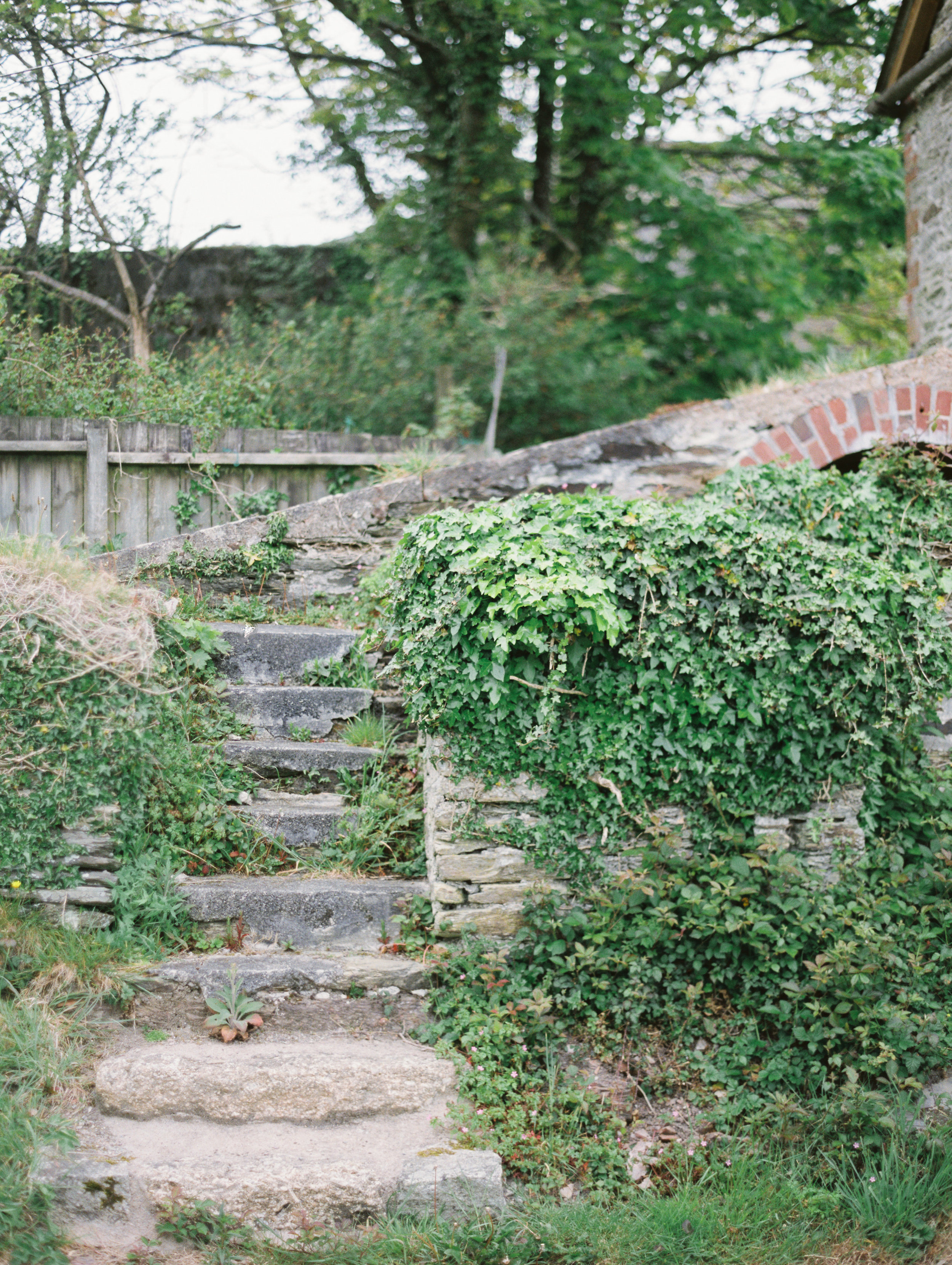 Cornish steps