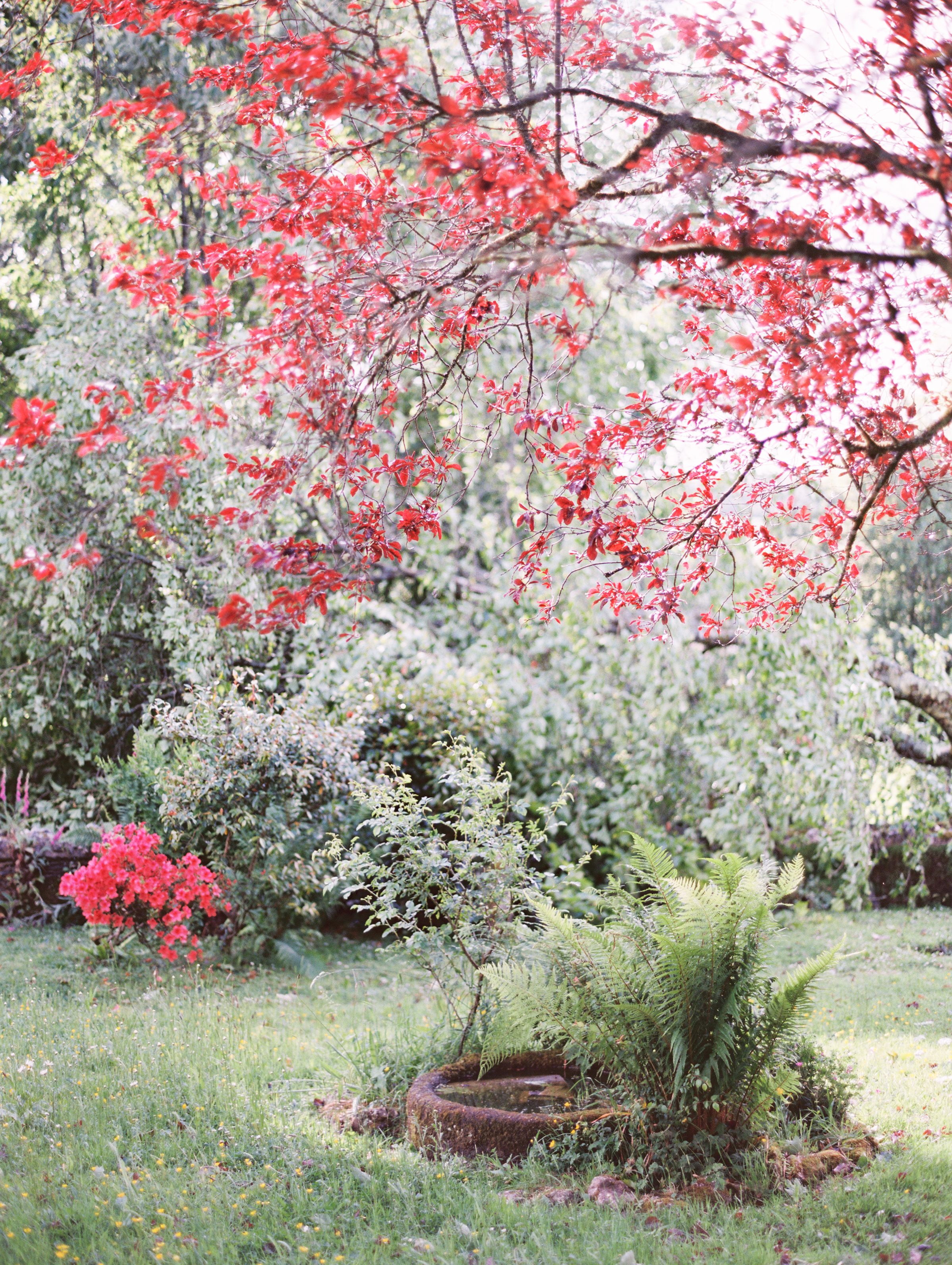 The garden at Botelet Farm