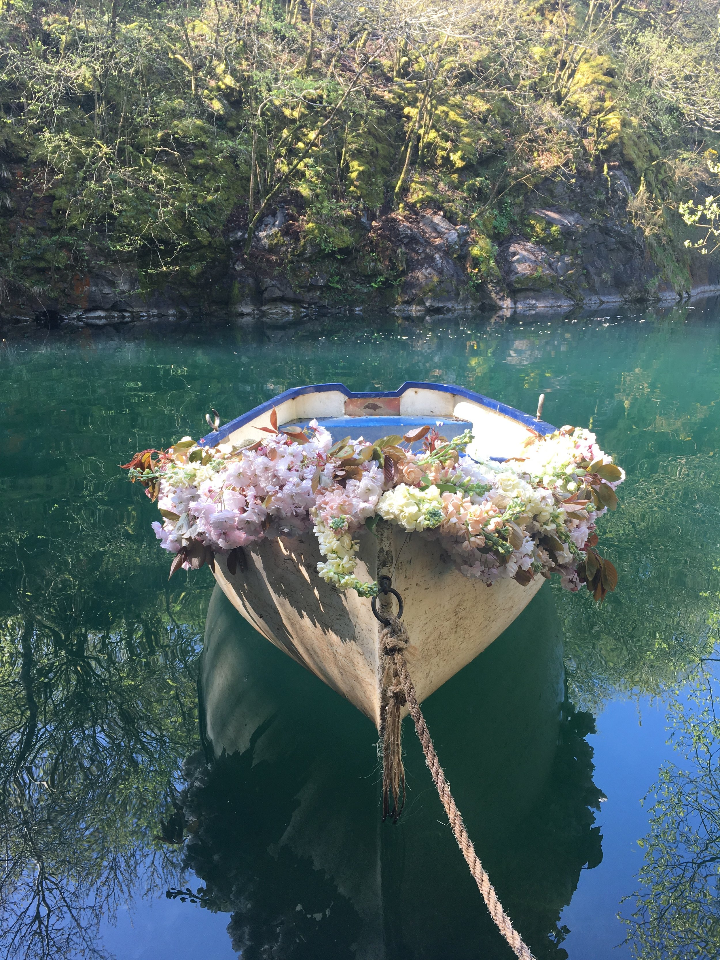 Flowers on boat