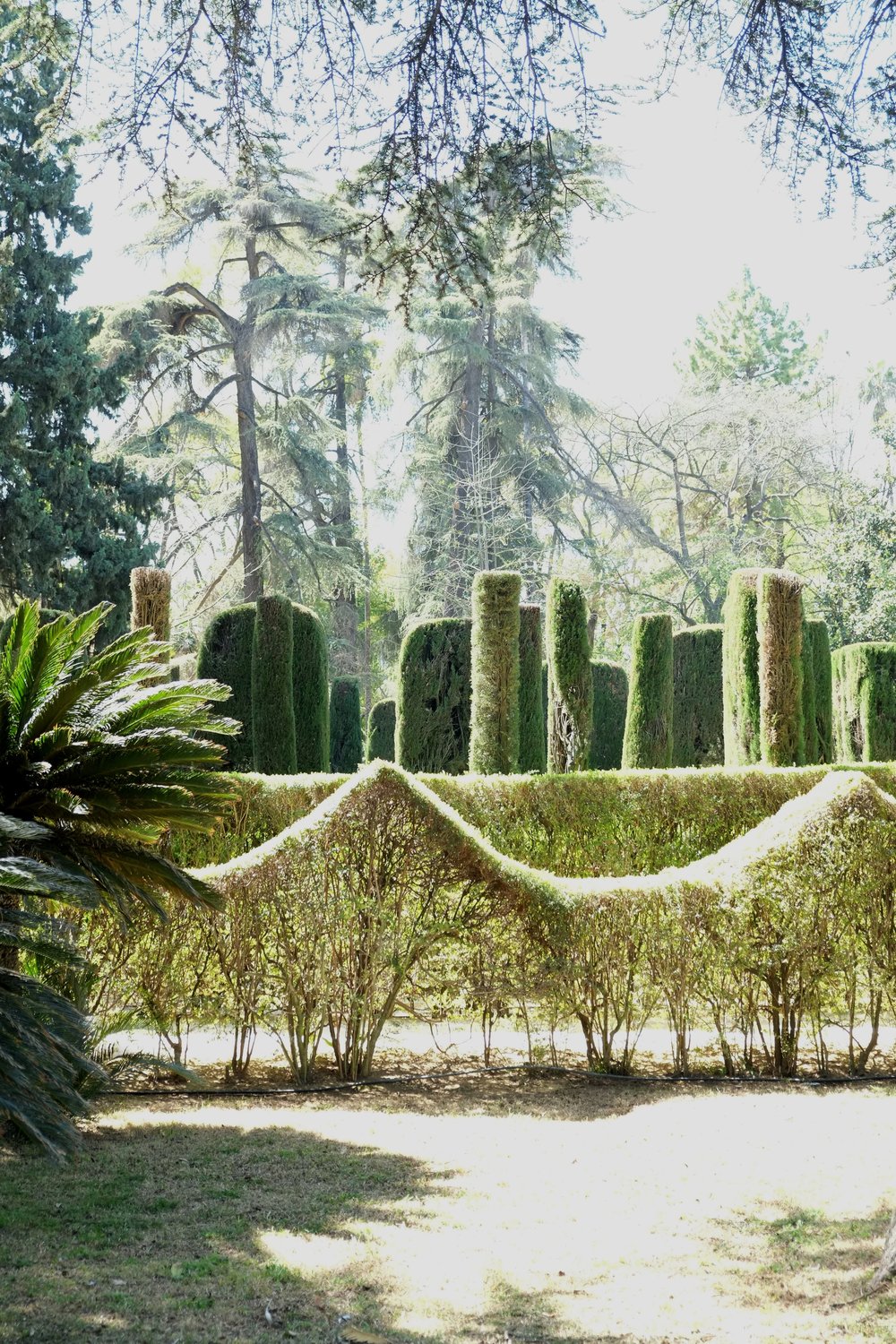 Maze at Real Alcazar