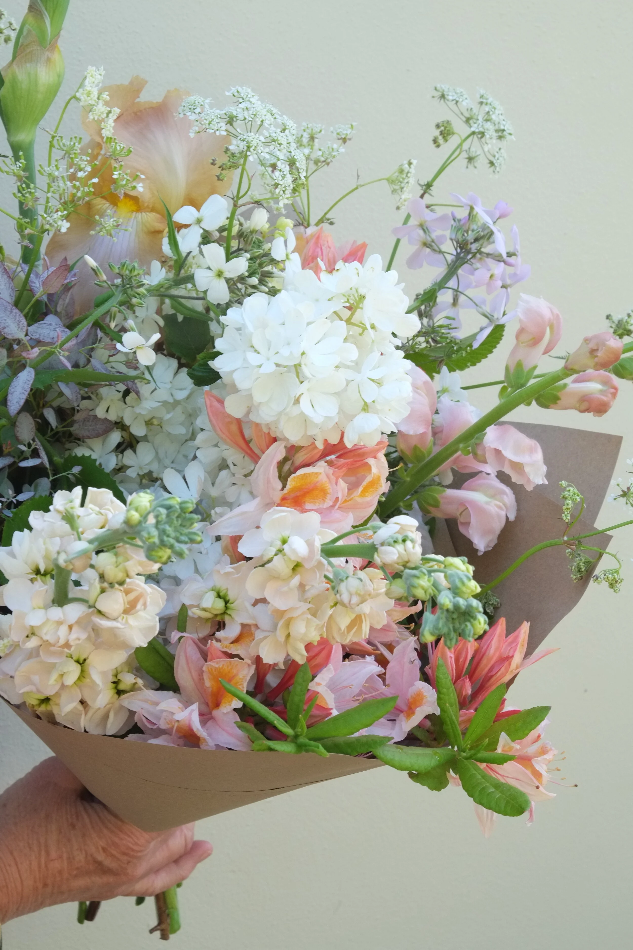 DSCF9331.JPG
