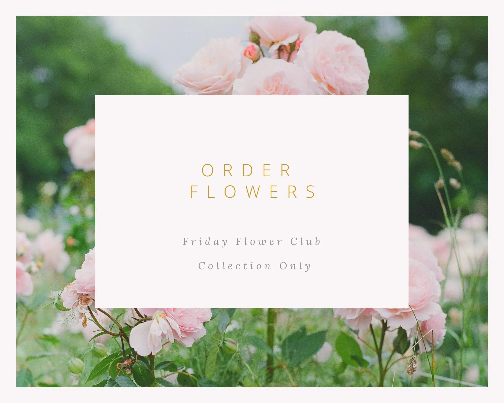 Order Flowers-2.jpg