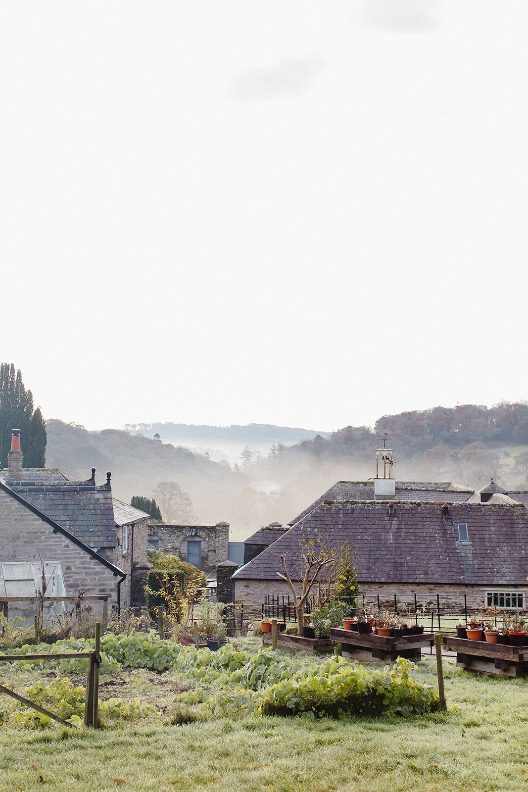 Boconnoc Estate 