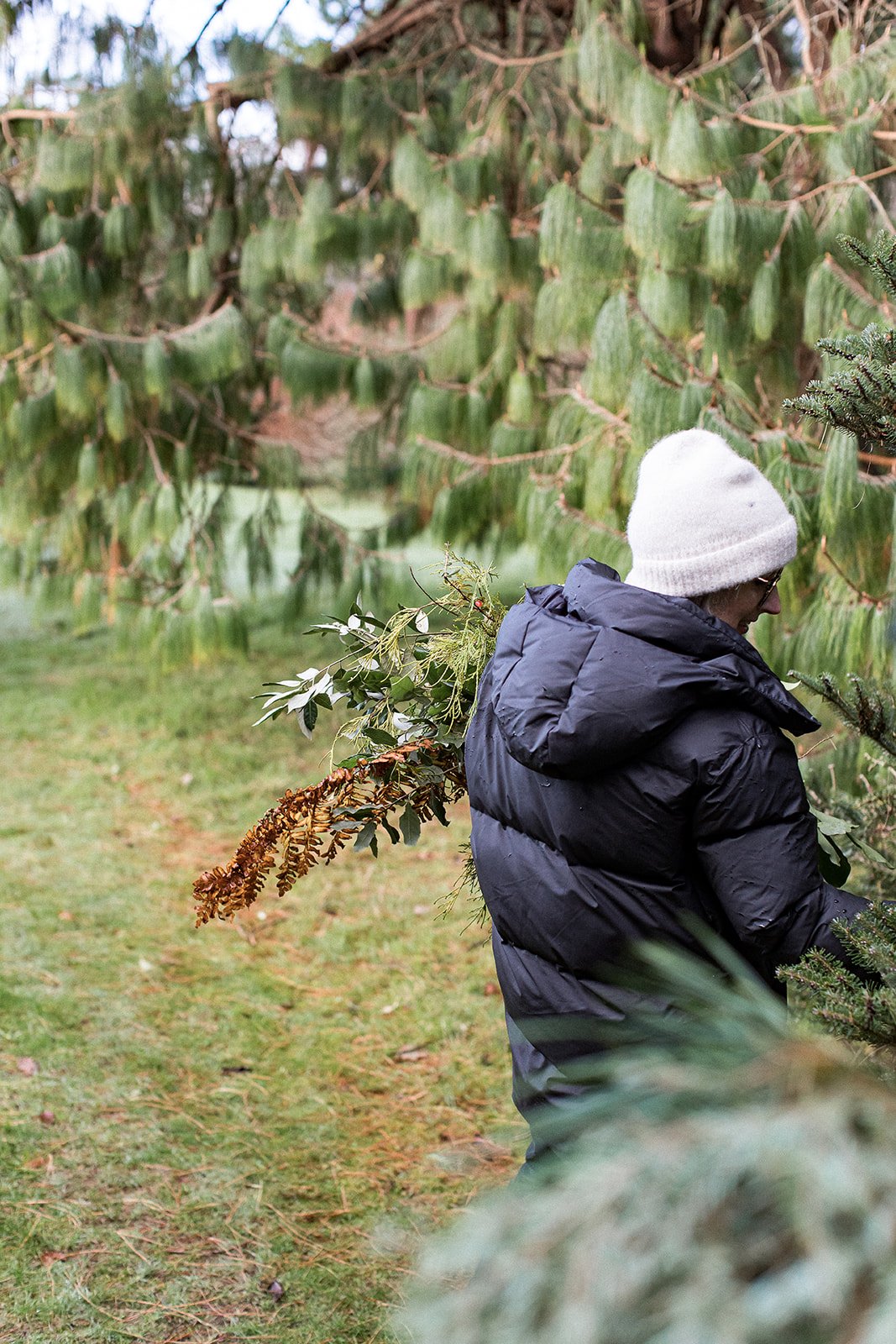 Winter walks at Boconnoc