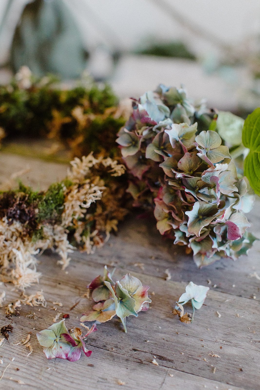 Wreath Making