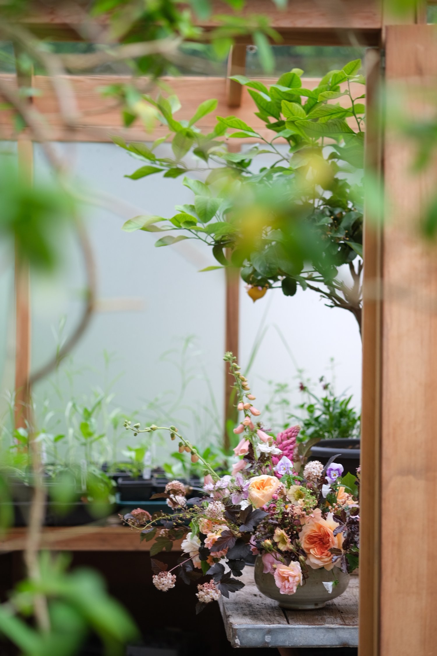 Cedar greenhouse for growing wedding flowers