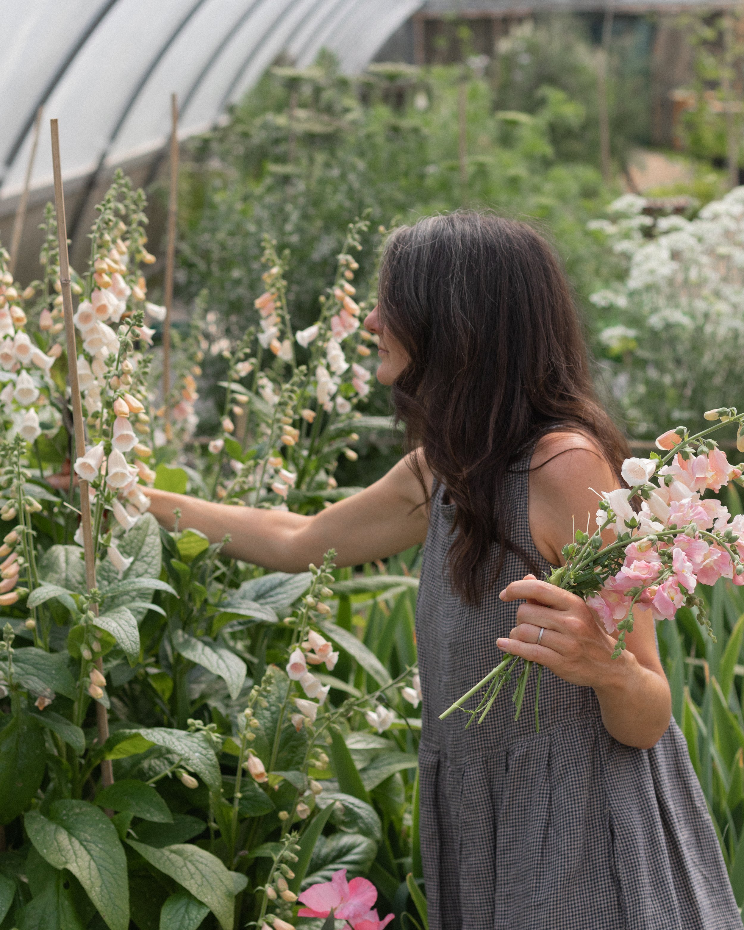 Flowers to grow inside for picking 