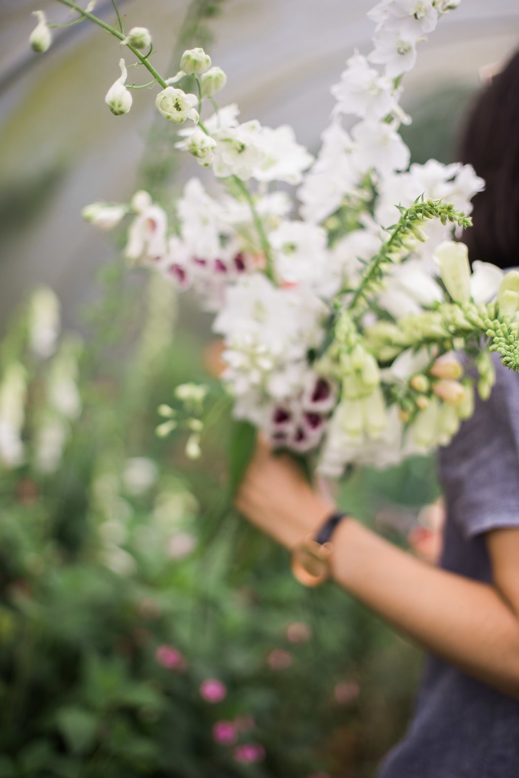 Picking and conditioning flowers