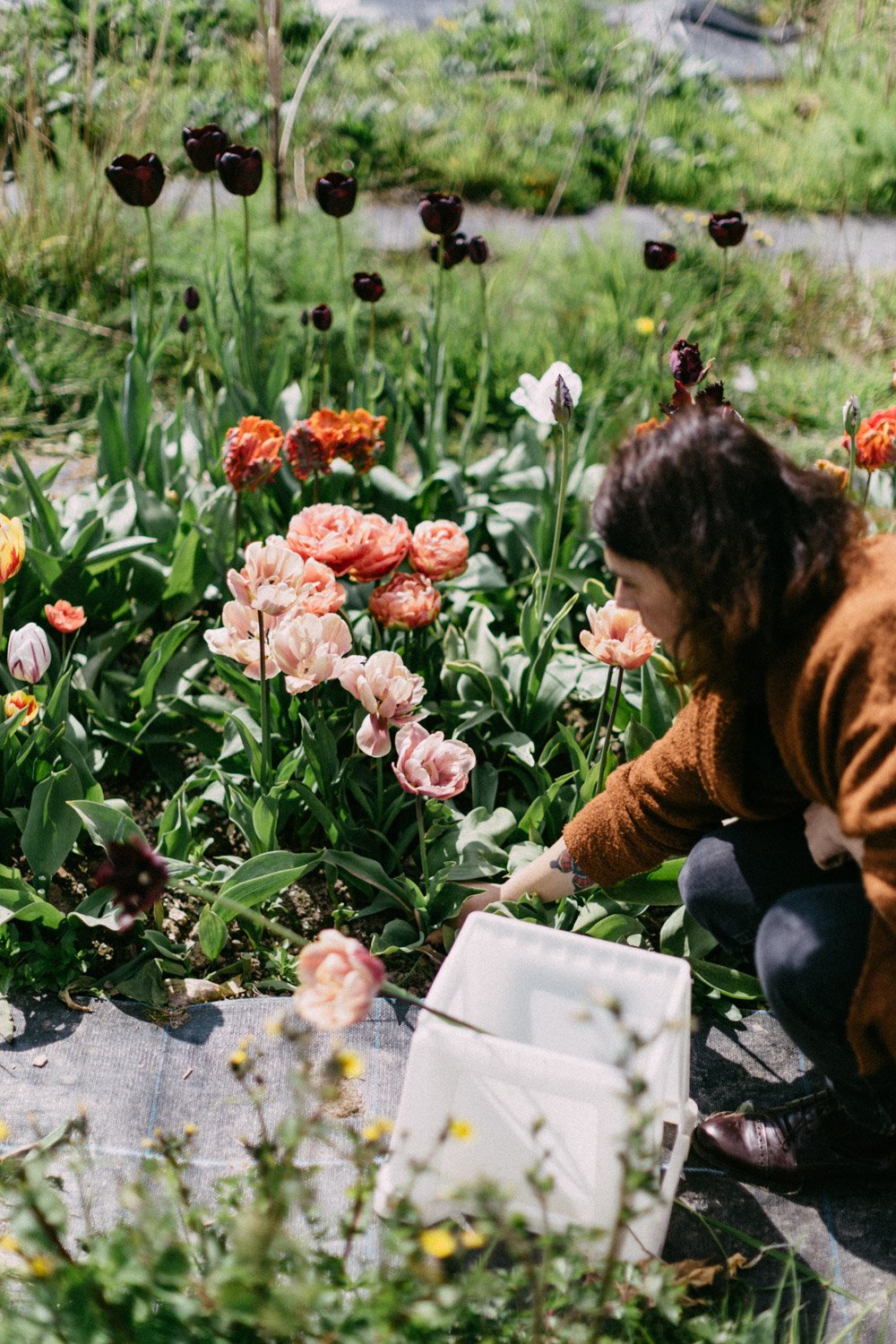 Growing a cutting garden class