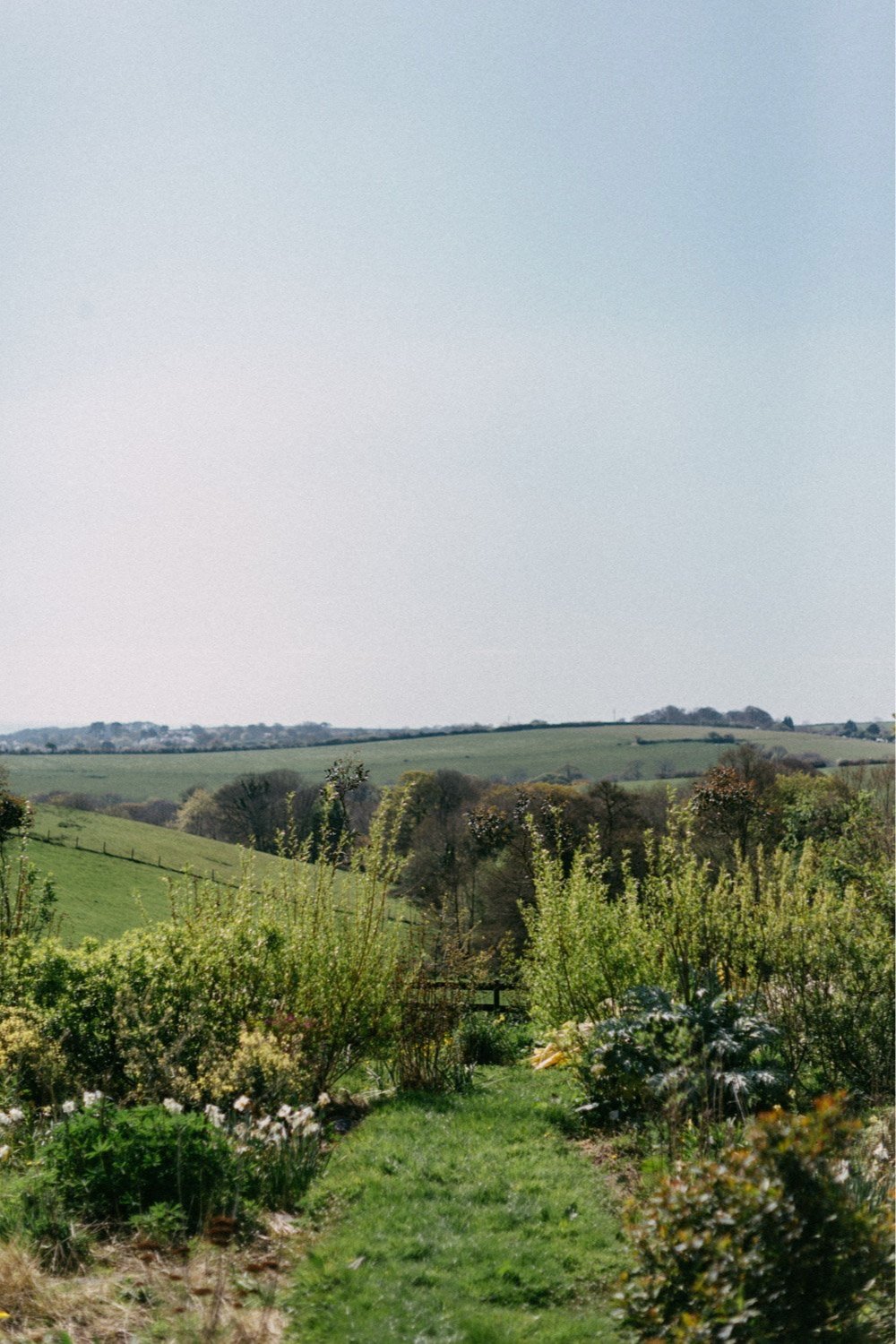 Growing a cutting garden class