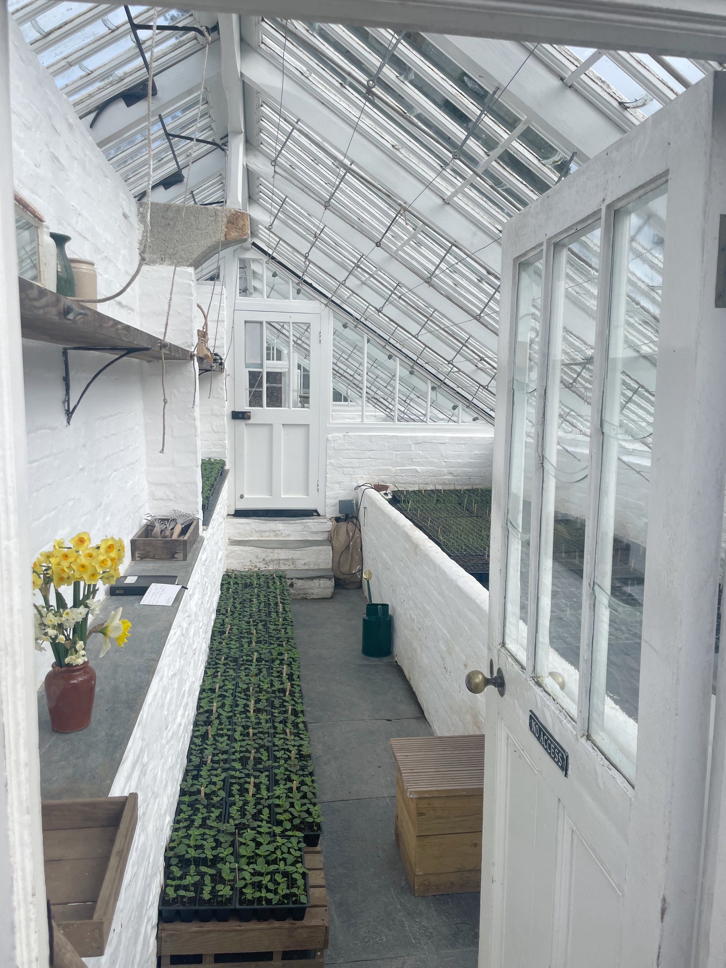 Heligan garden greenhouse