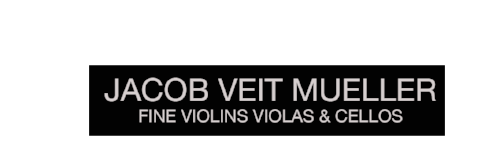 JVM logo .png