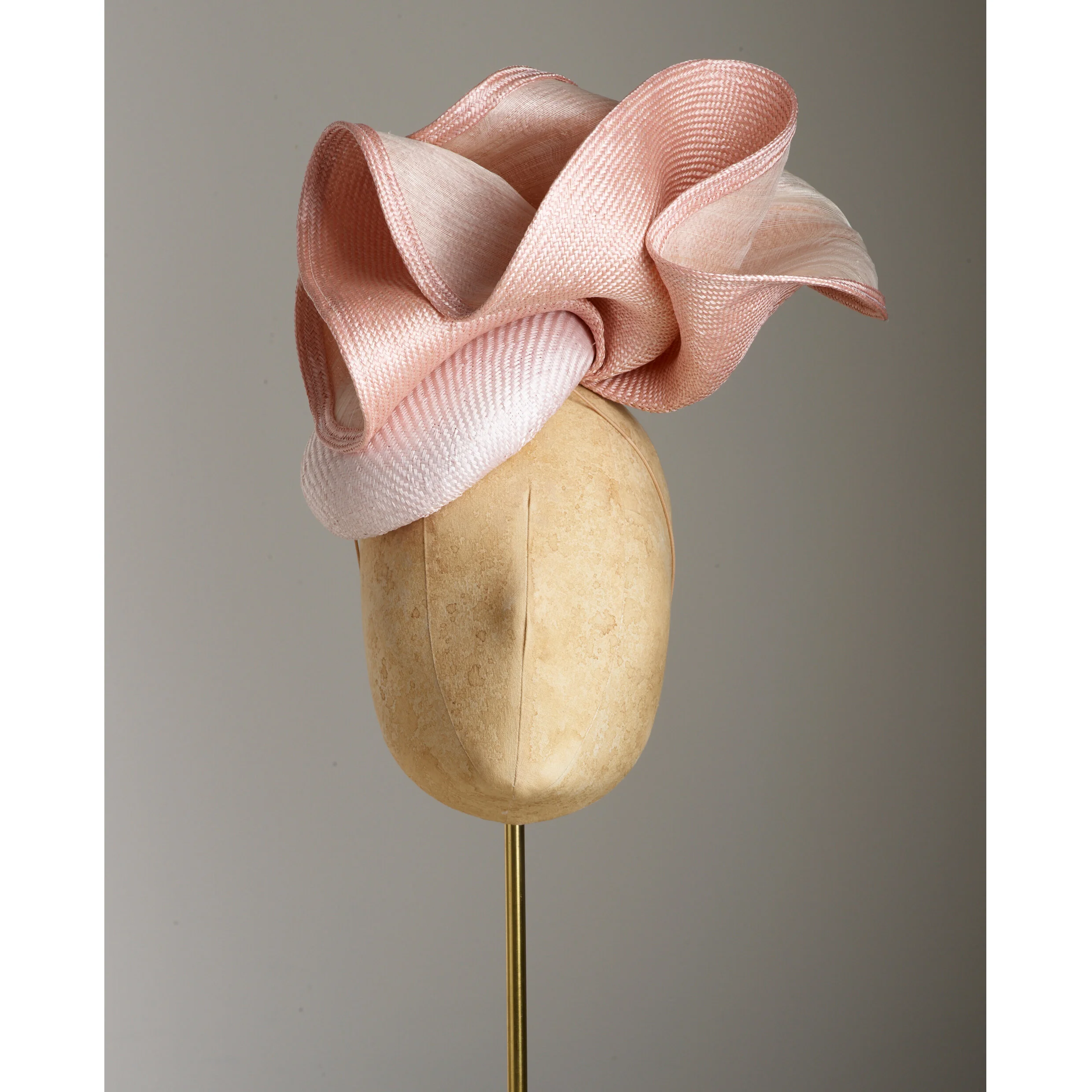 W_CamelliaPinkFront.jpg