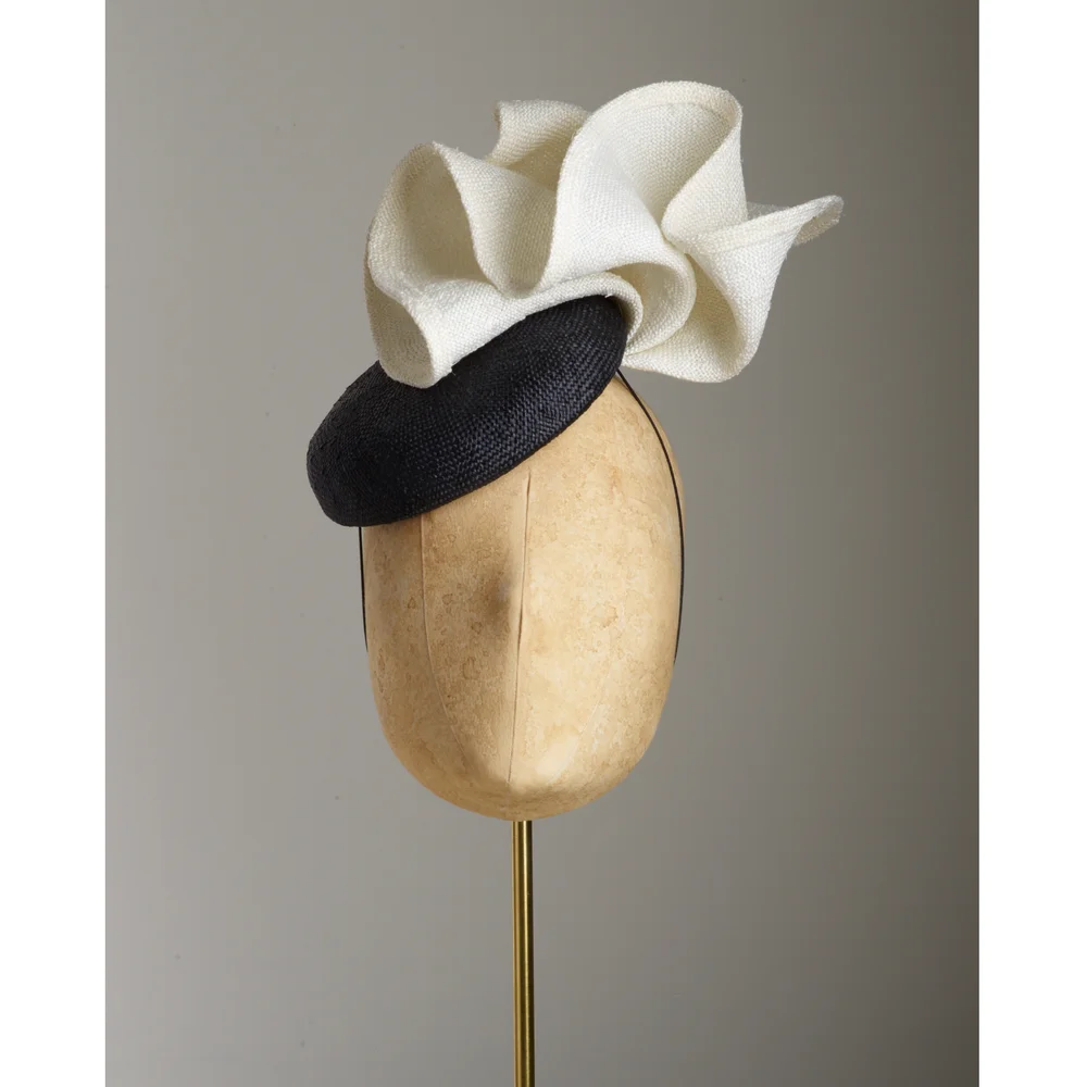 W_CamelliaBW.jpg?format=1000w display picture 1