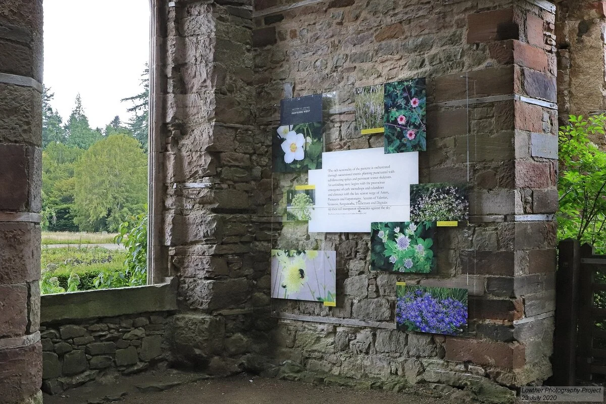 lowther project 19890_std.jpg