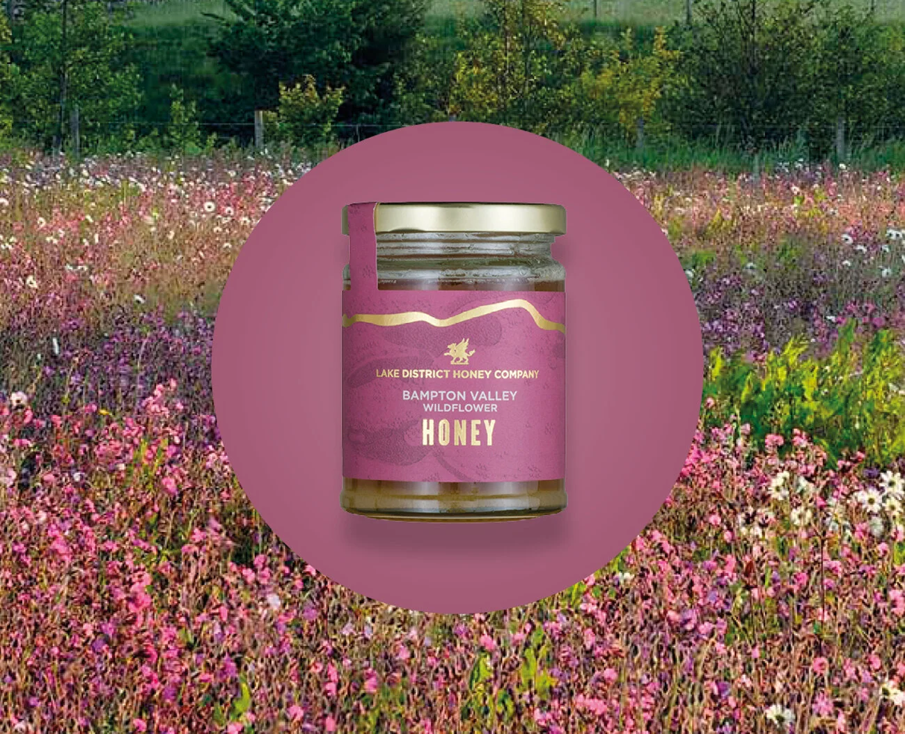 LDHC BROCHURE 12pp2.jpg