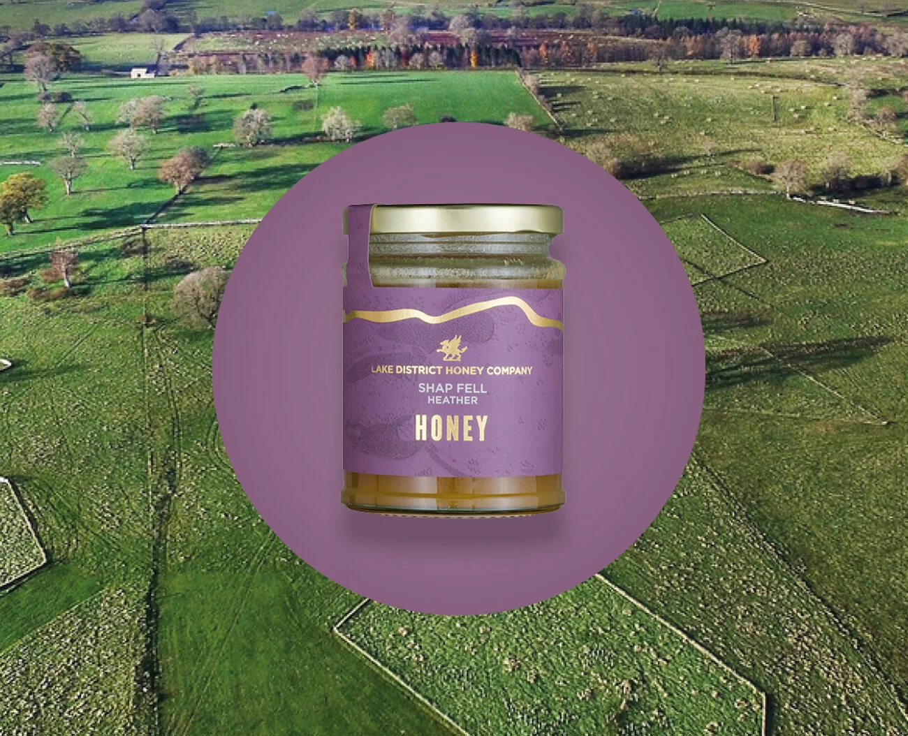 LDHC BROCHURE 12pp3.jpg