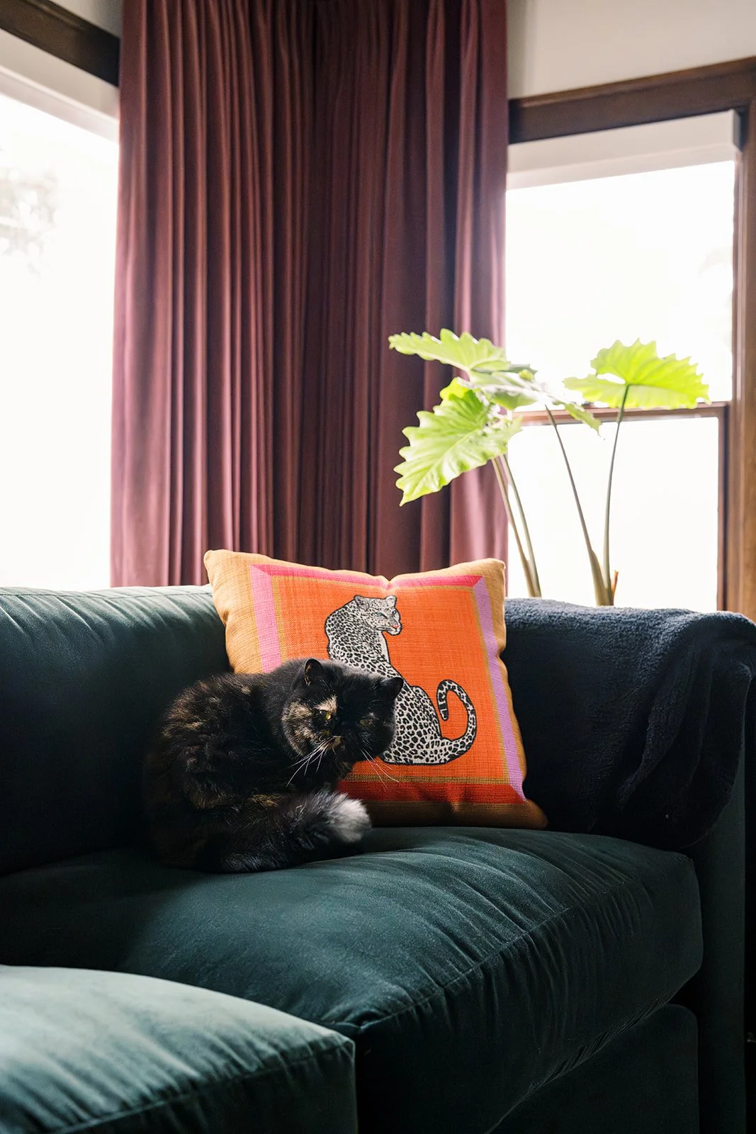 Virginia Roberts 19.jpg