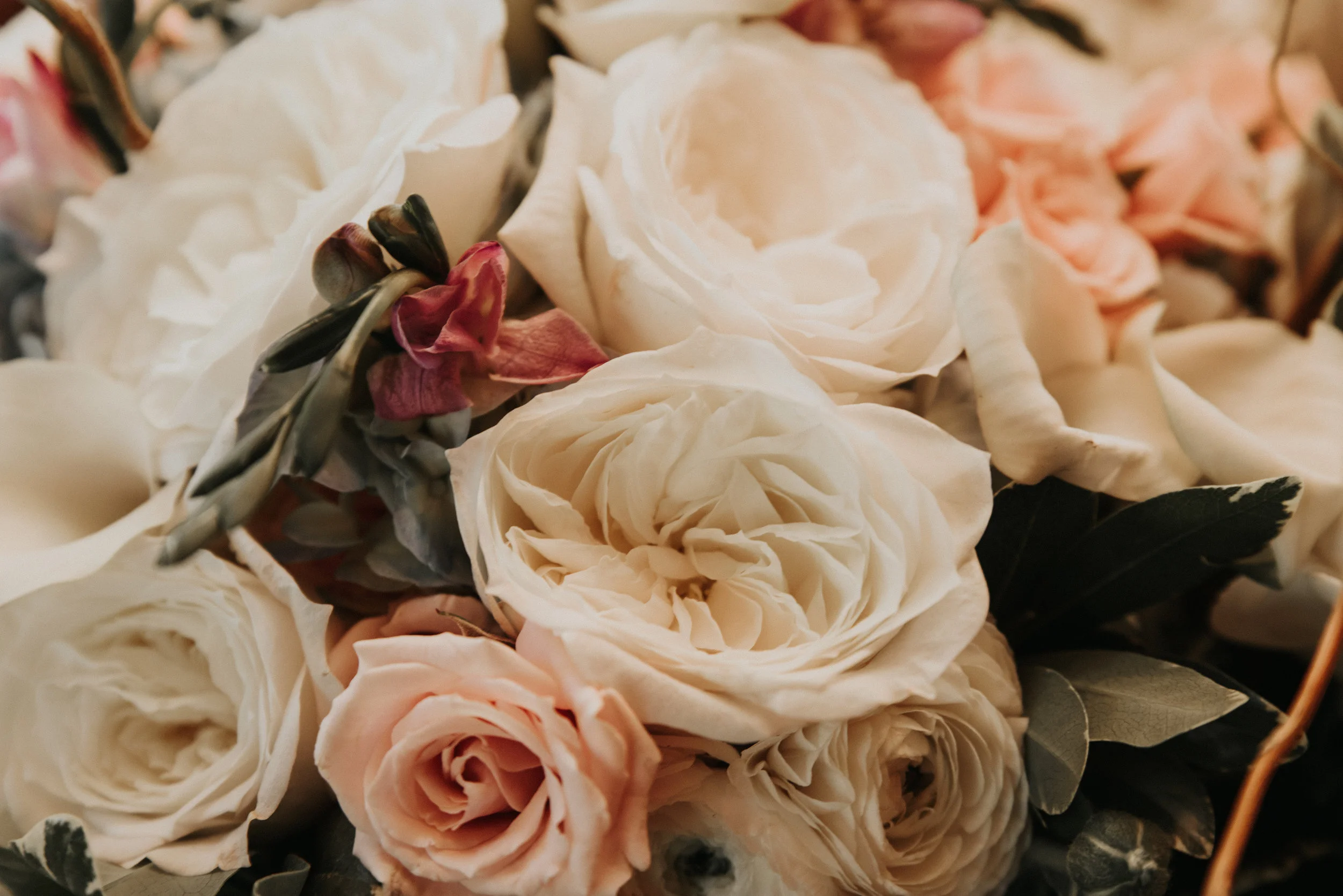 meganandkevin-7012.jpg