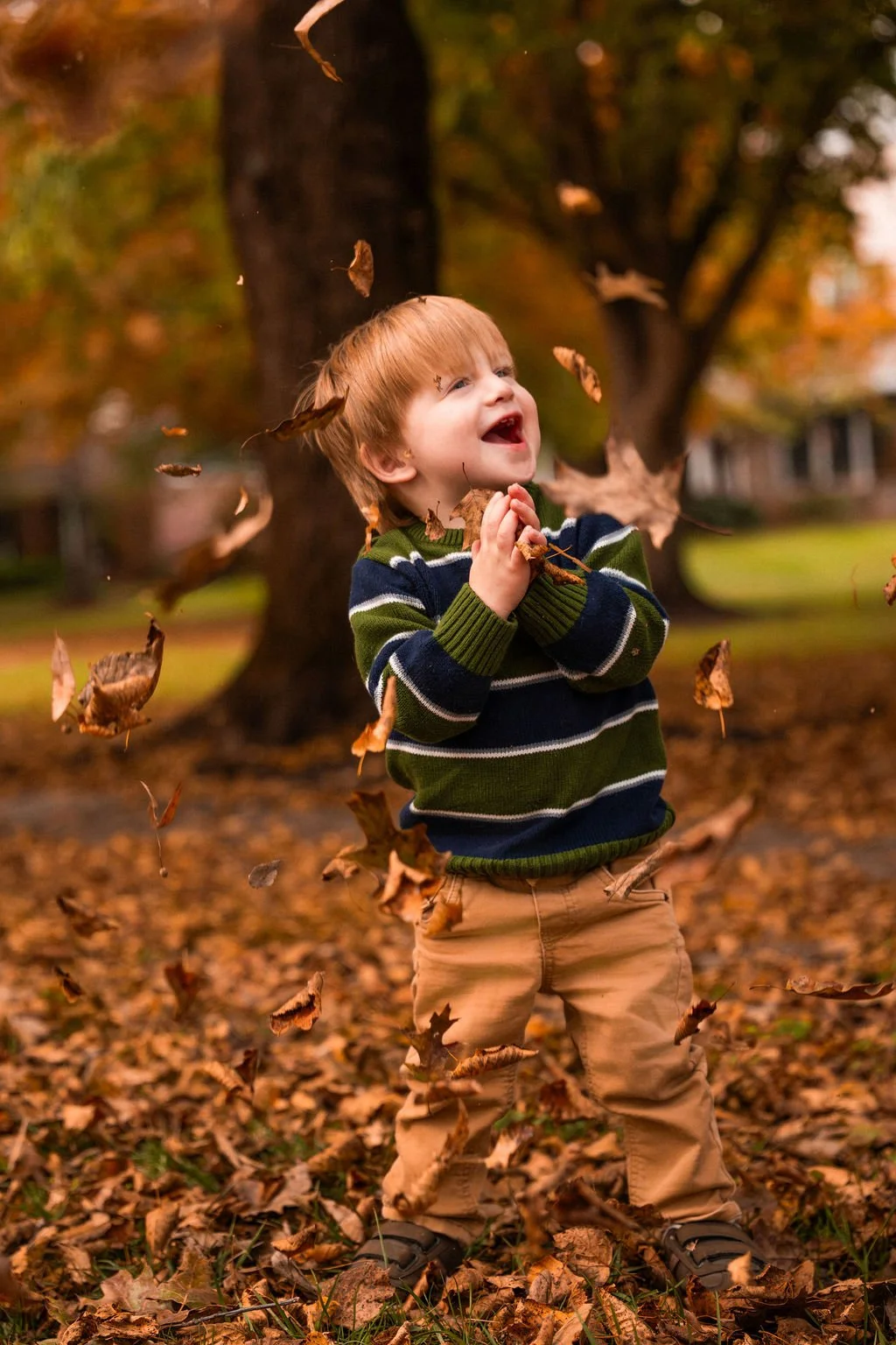 Spring 2026 Family Mini sessions