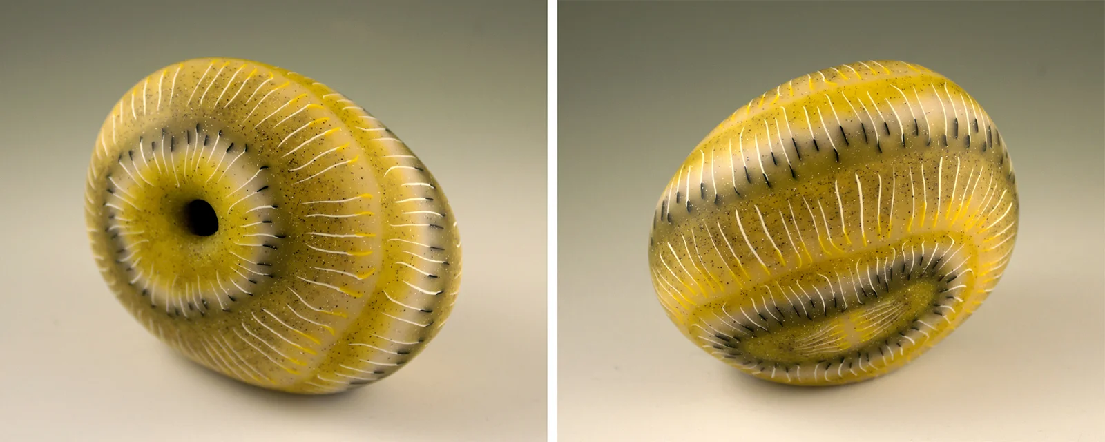 Anemone Rock vessel.jpg