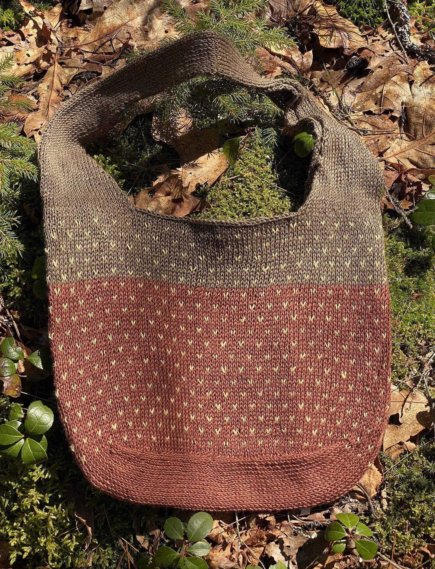 Brown dark green w yellow v 1.jpg