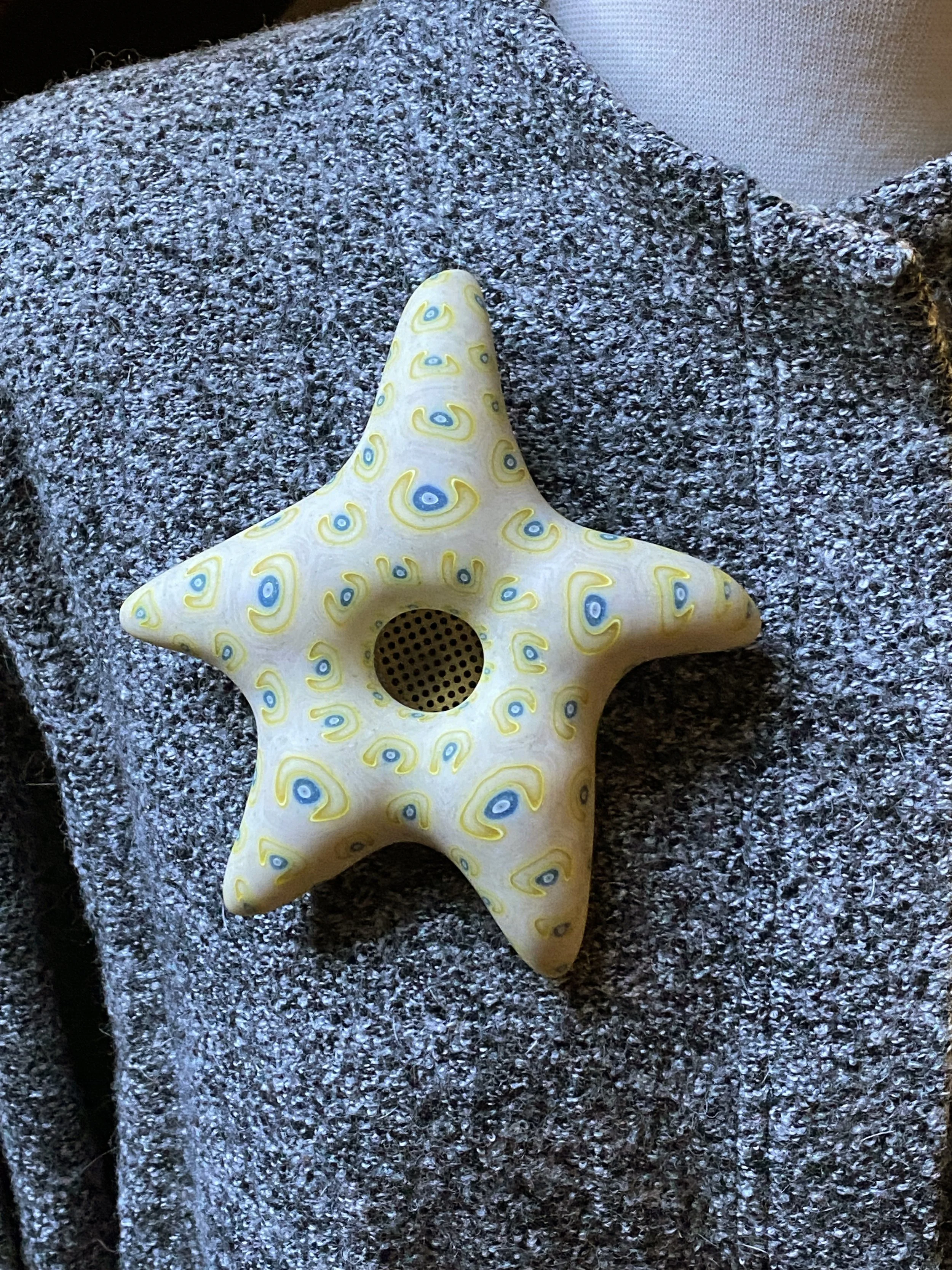 Star Brooch with brass 2.jpg