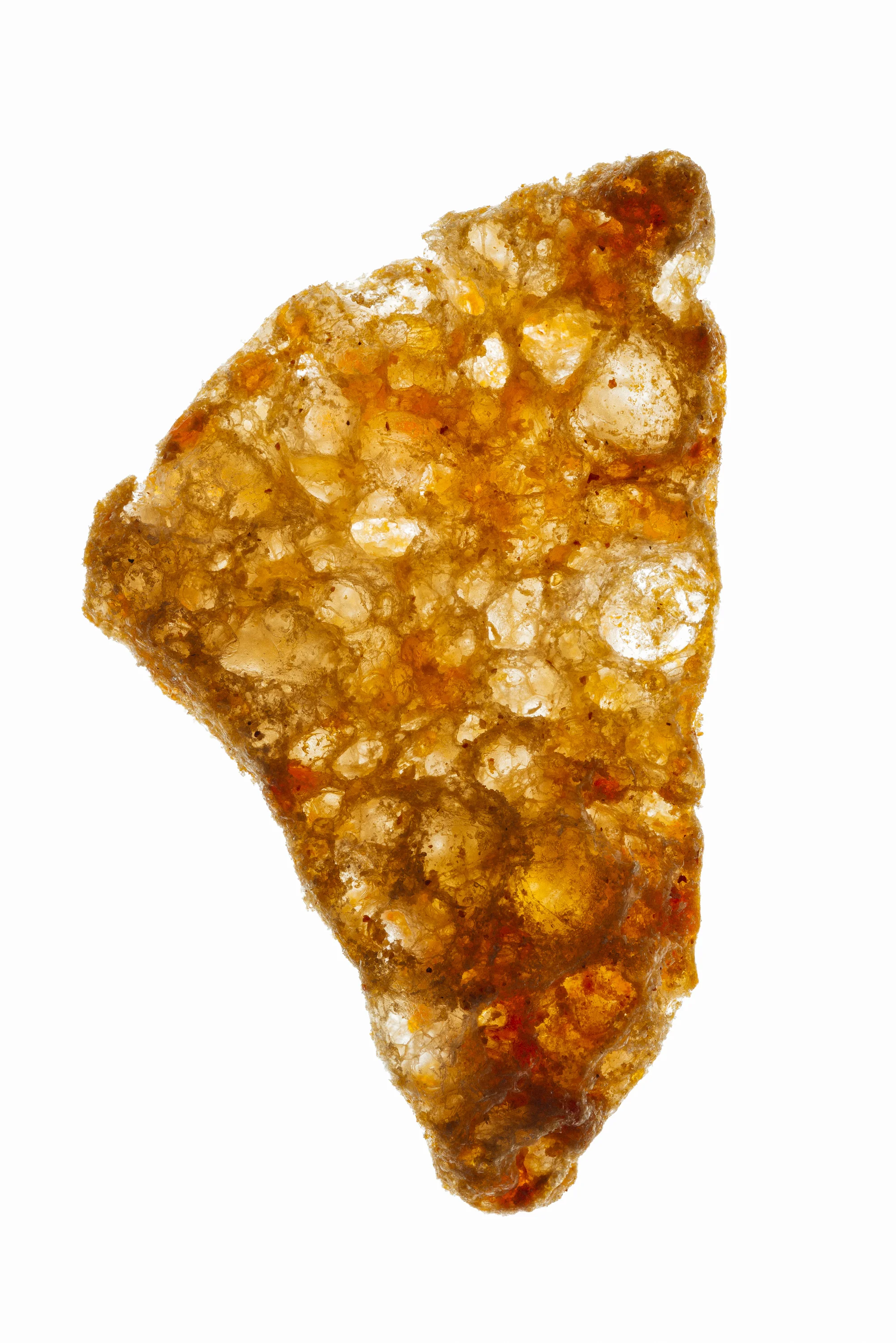 1507_RF_PORKRIND_SHARP.jpg