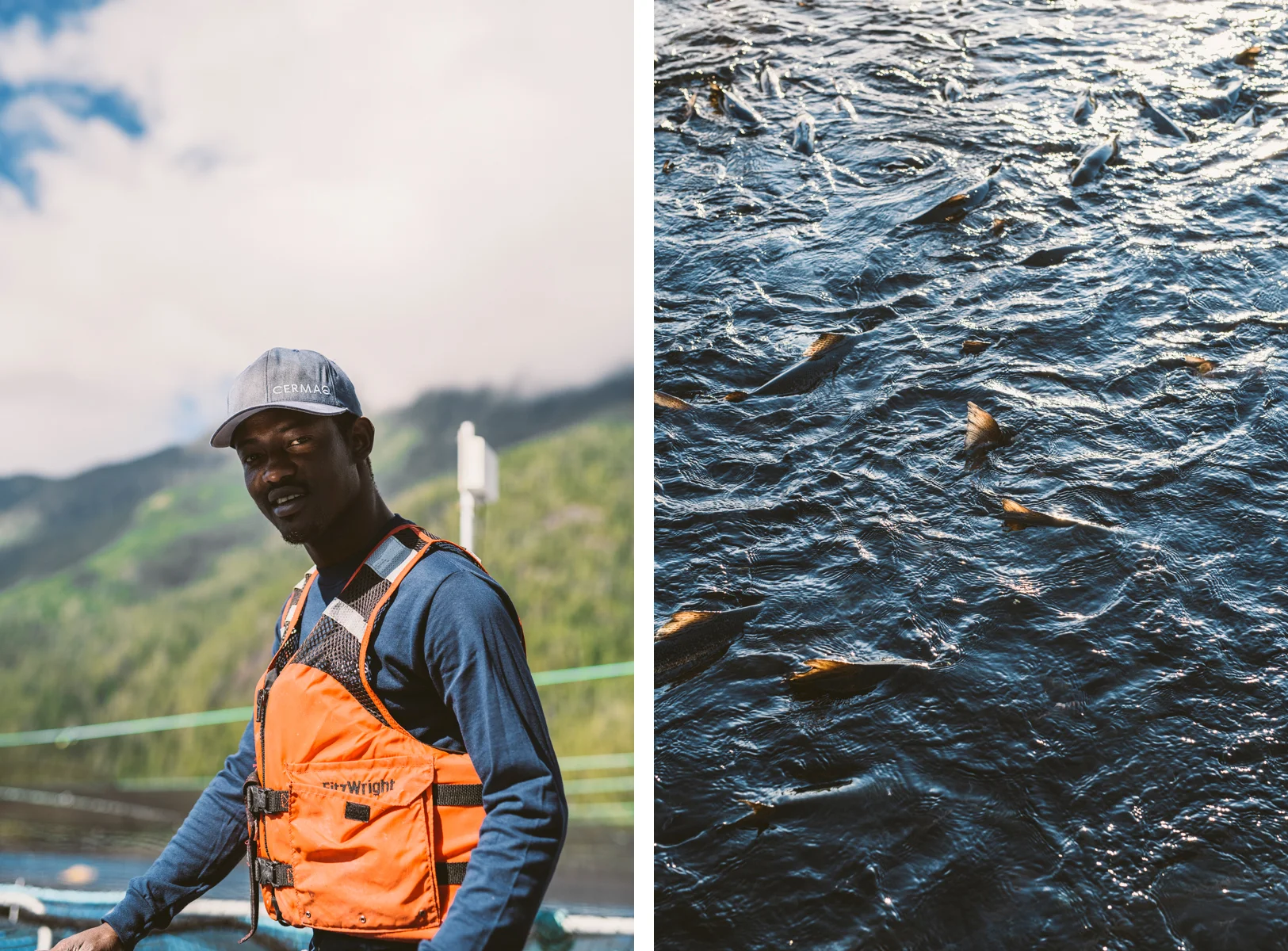 CERMAQ SALMON FARMERS