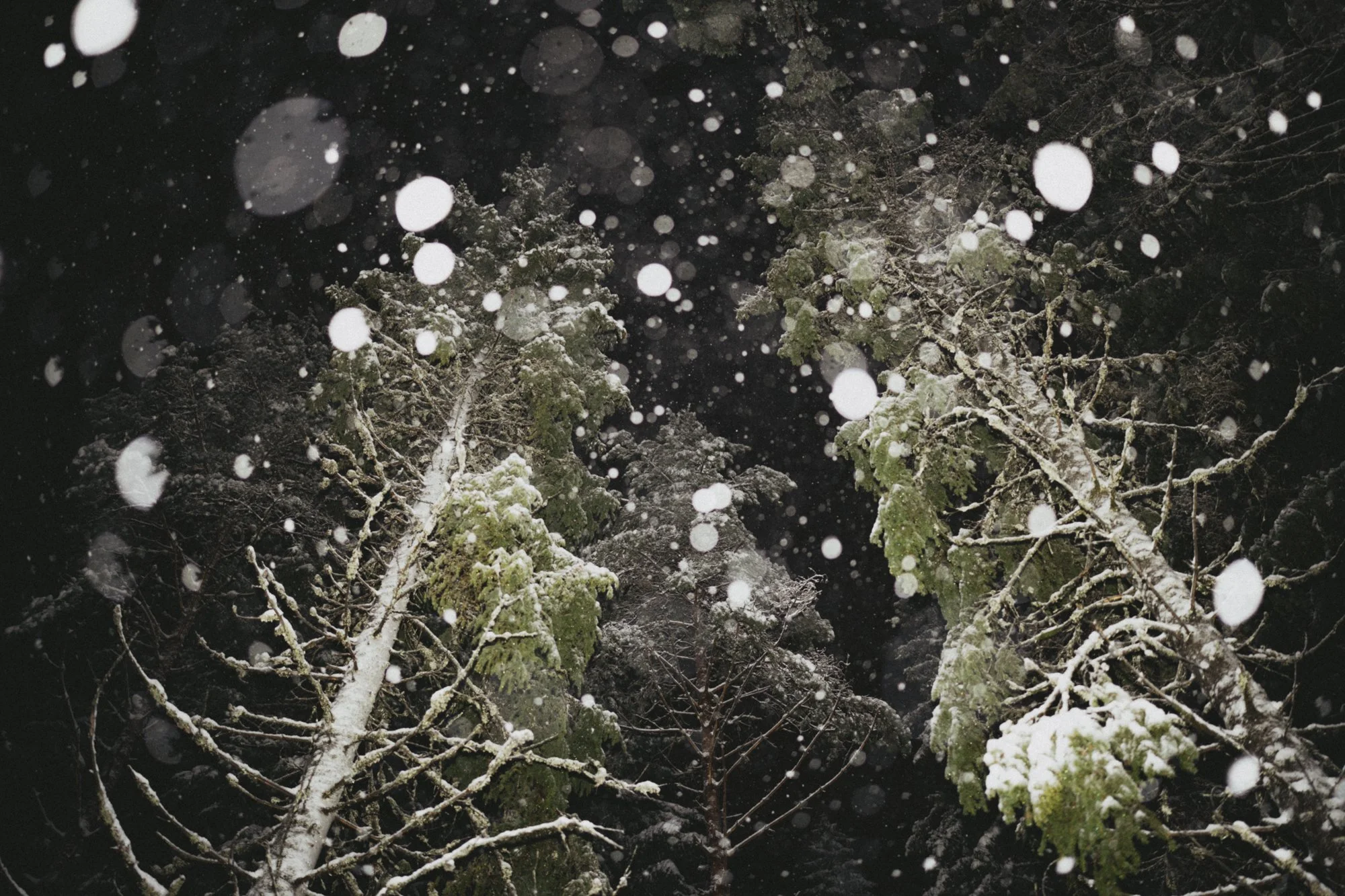 2501_Ulvang_Winter_02978.jpg
