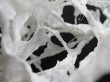 Gail Baxter: : Reading shadows (detail) - Obscured information
