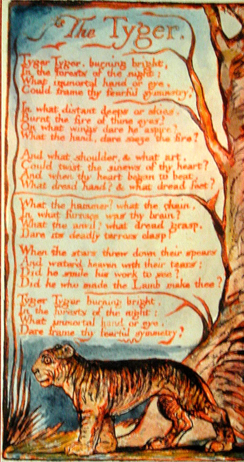 Another kind of "Tyger" : Blake's genius